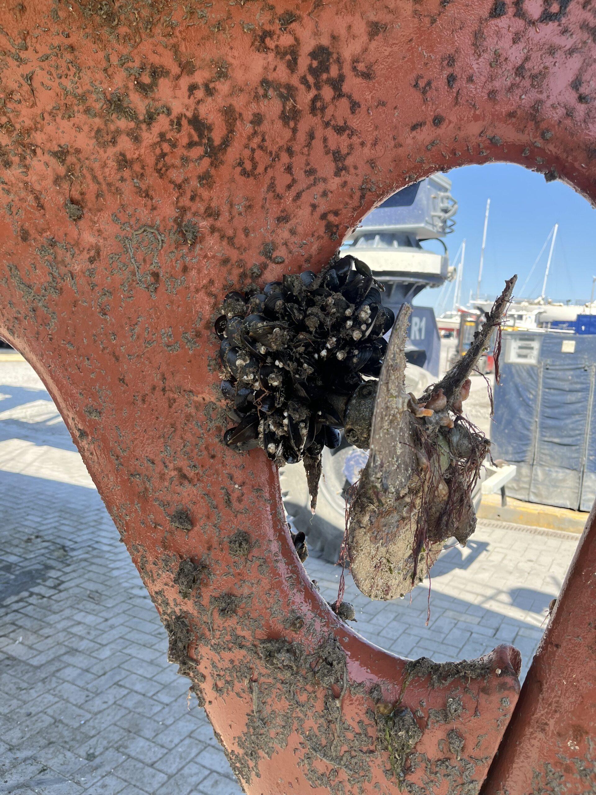 Boat works 2025 – prelude